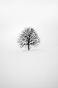 Organising Your Content